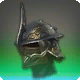 Auditoren-Helm