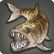 Tigerfisch