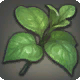 Klingenblatt