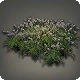Fern&ouml;stliches Gras