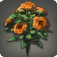 Orange Altrosen