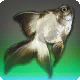 Tinten-Fisch