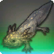 Hundertaugen-Axolotl