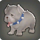 Bulldoggenwelpe