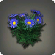 Blaue G&auml;nsebl&uuml;mchen