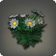 Graue G&auml;nsebl&uuml;mchen