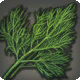 Fenchel
