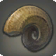 Dzohorn