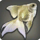Gilfisch