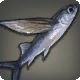 Fliegender Fisch