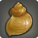 Wellhornschnecke