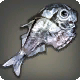 Beilfisch