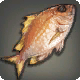Soldatenfisch