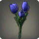 Blaue Tulpen