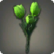 Gr&uuml;ne Tulpen