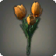 Orange Tulpen