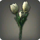 Wei&szlig;e Tulpen