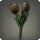 Schwarze Tulpen