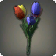 Mehrfarbige Tulpen