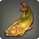 Dorado