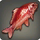 Roter Prismenfisch