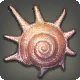 Stachelschnecke