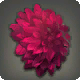 Purpurrote Dahlien-Haarspange