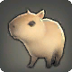 Capybara-Jungtier