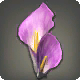 Violette Aronstab-Haarspange