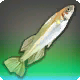 Prinzessinnen-Killifisch