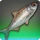 Glarramundi