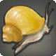 Toffeeschnecke