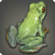 Blutlaubfrosch