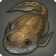 Bothriolepis