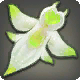 Hohe Pixie