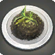 Risotto al nero