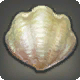 Feenbivalvia