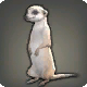 Erdm&auml;nnchen