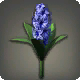 Blaue Hyazinthen