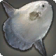 Momora Mora