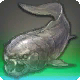 Coccosteus