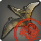 Inspizierter Federfall-Pteranodon