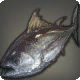 Blutfrisch-Thunfisch