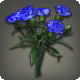 Blaue Nelken
