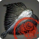 Inspizierter Himmelsang-F&auml;cherfisch