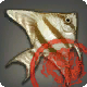 Inspizierter Himmelsang-Schwei&szlig;fisch