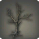 Winterbaum