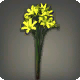 Gelbe Triteleia