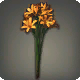 Orangene Triteleia