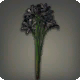 Schwarze Triteleia